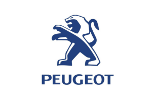 Batería para Peugeot Bogotá